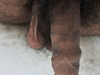 My Pics 20: 14 Nude Pics