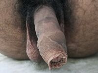 My Pics 20: 14 Nude Pics