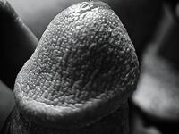 Leave your comment: 7 Nude Pics