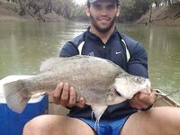 Sports Guys Sexy Gay