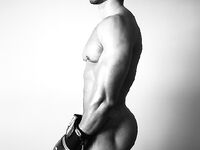 The perfect boxing physique