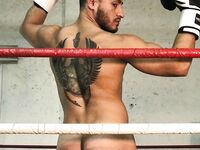 The perfect boxing physique