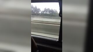 Wank on the bus