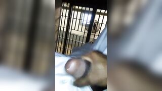 Horny black thug masturbates in jail