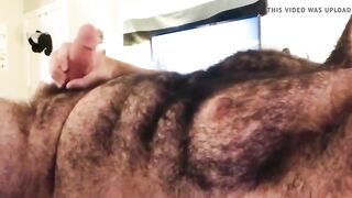 Hairy bearded bear cums