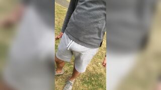 Showing my cock to a stranger in a park